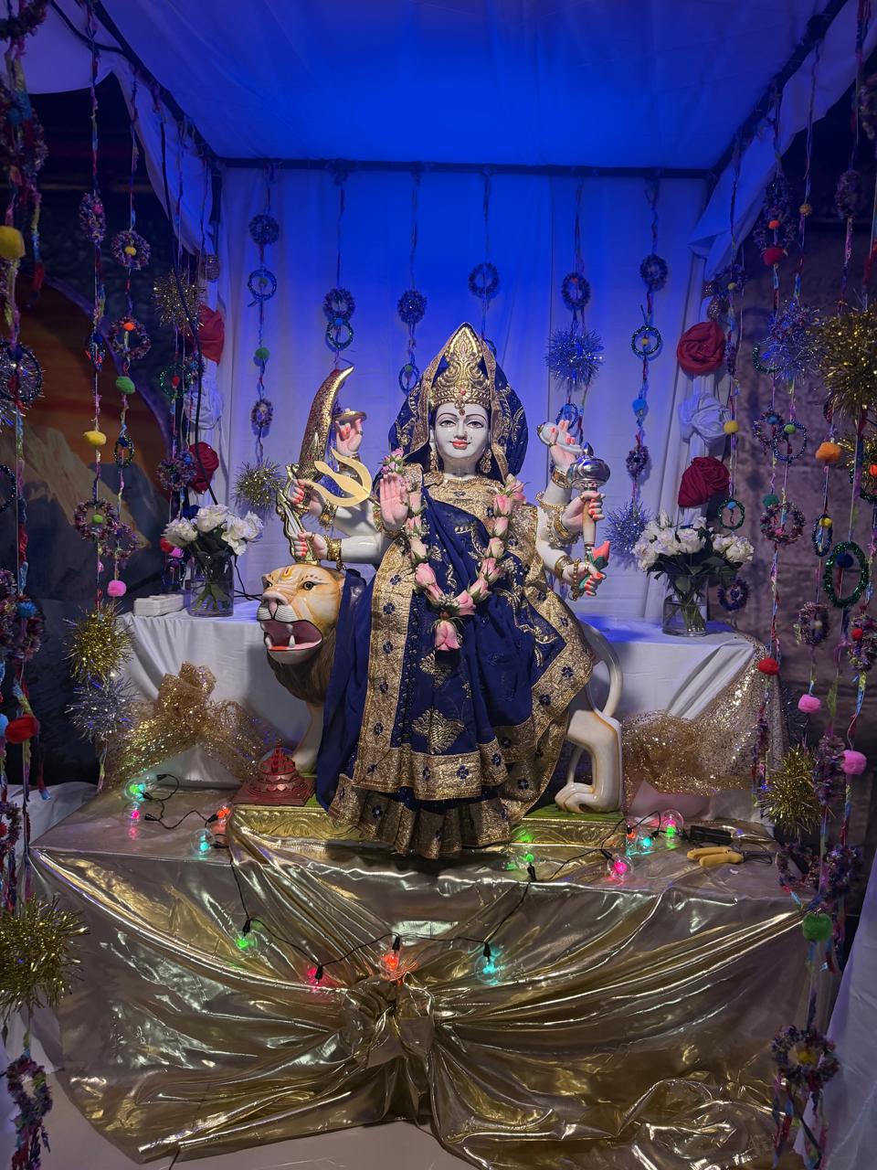 Navaratri 2026 photo 25